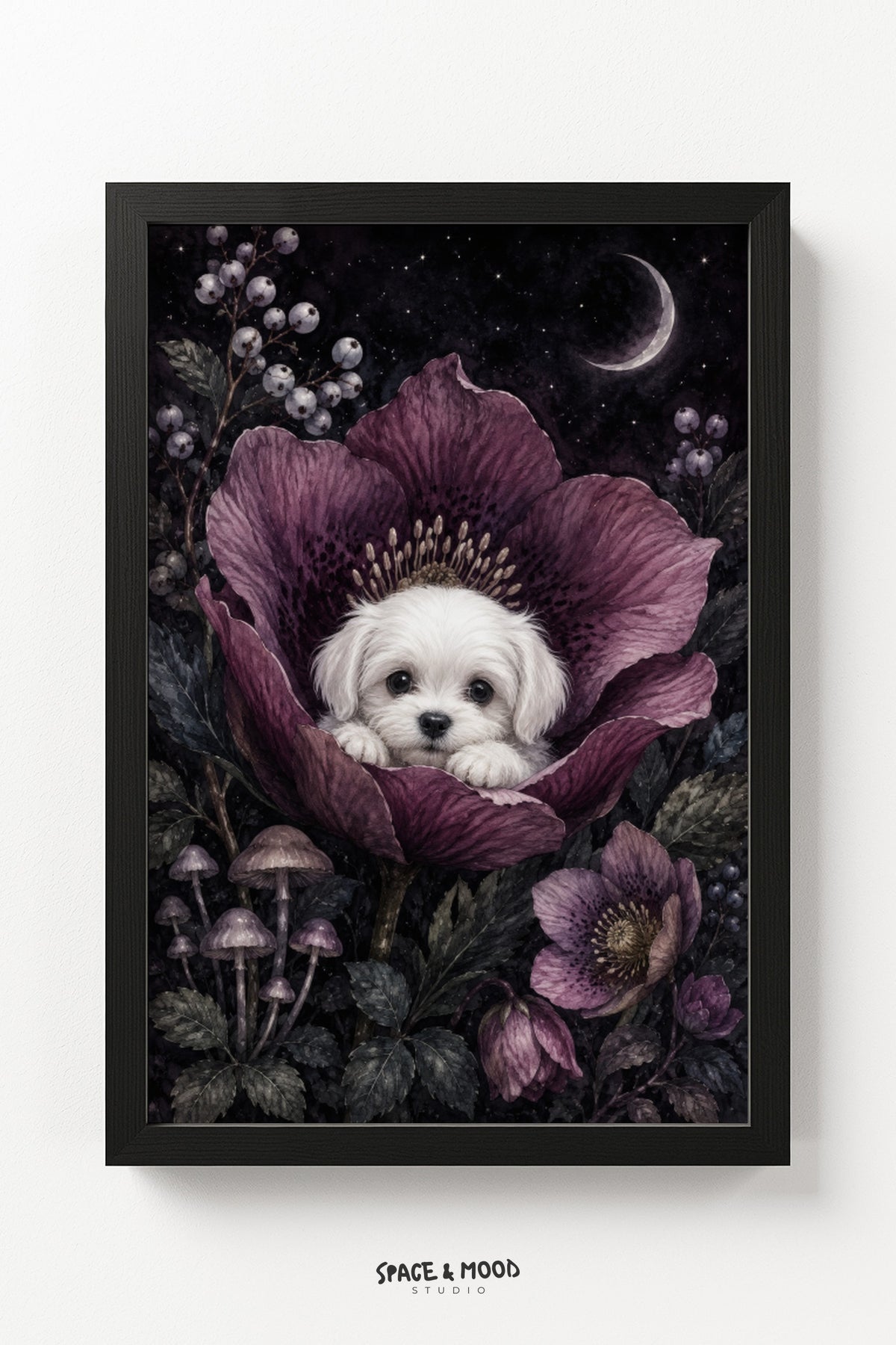 White Puppy Purple Flower