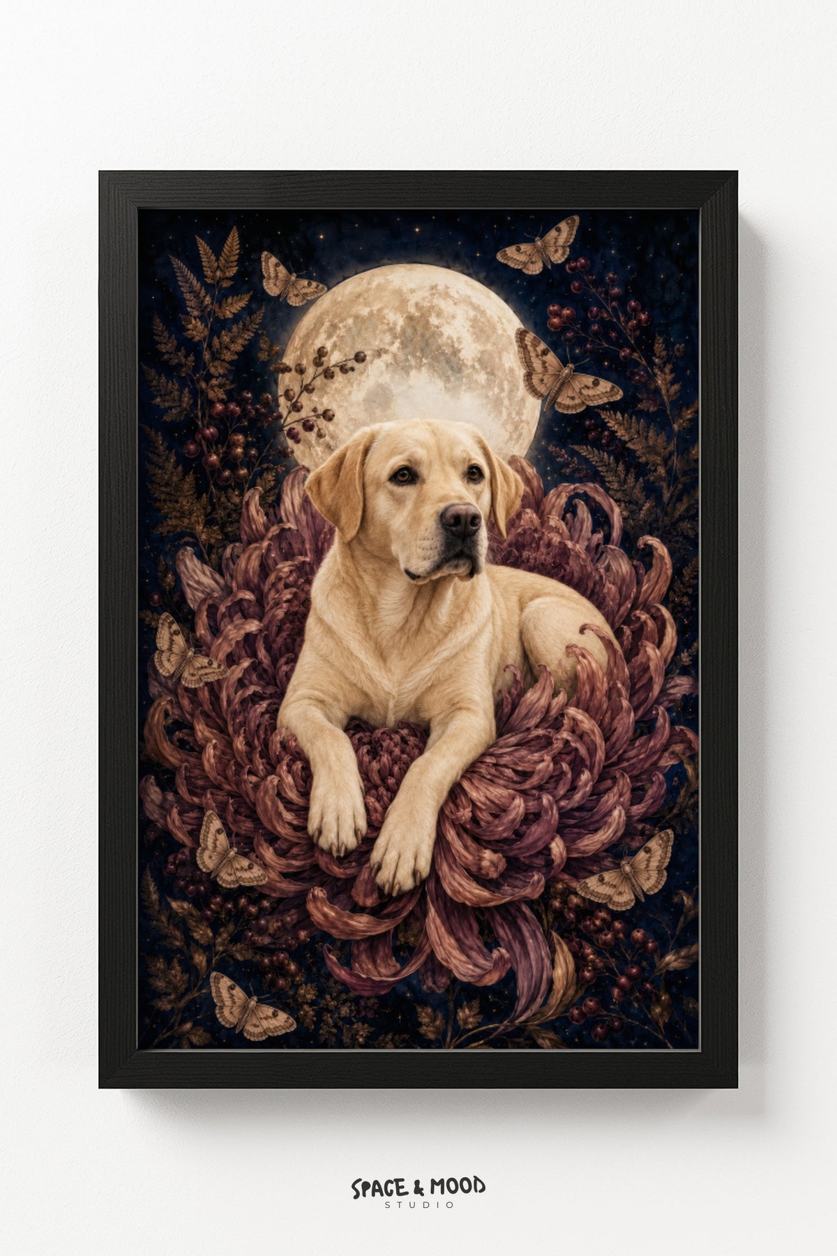 Labrador Chrysanthemum Moon