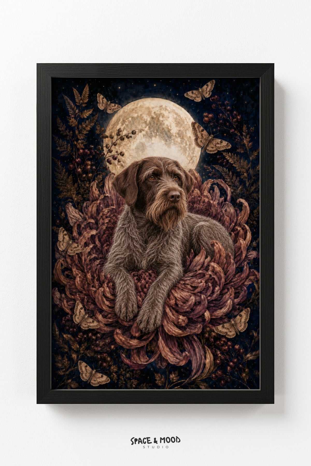 Wirehaired Pointer Chrysanthemum