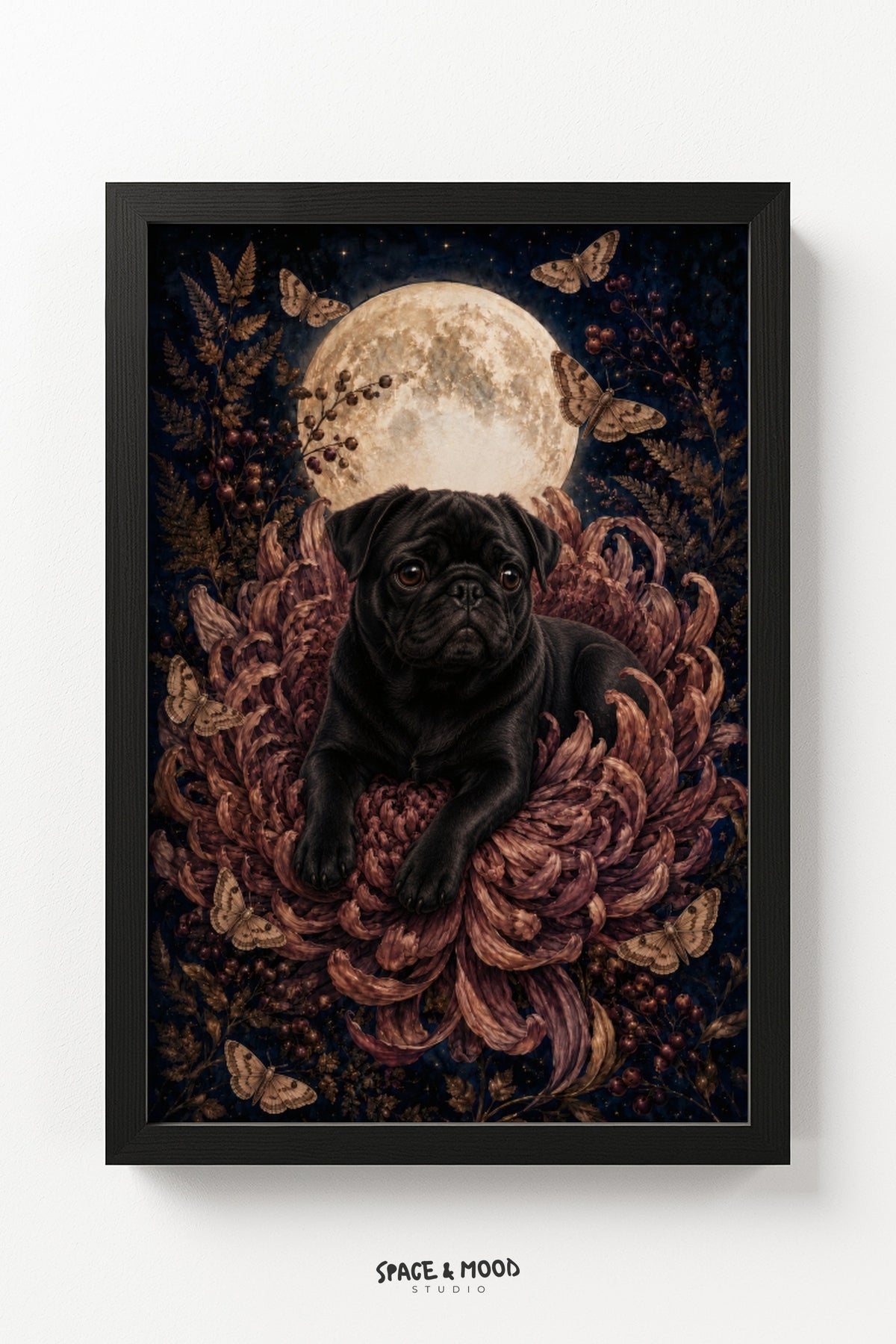 Black Pug Chrysanthemum