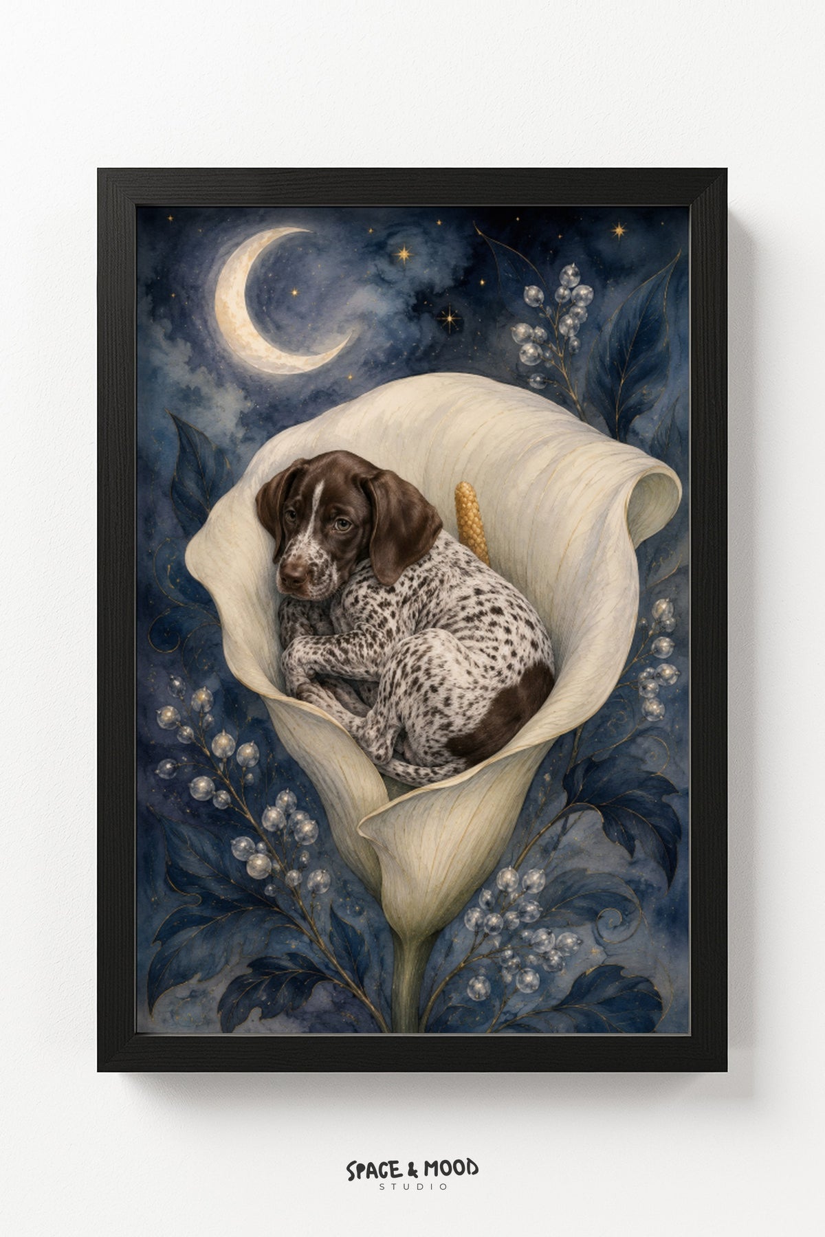 Pointer Calla Lily Moon