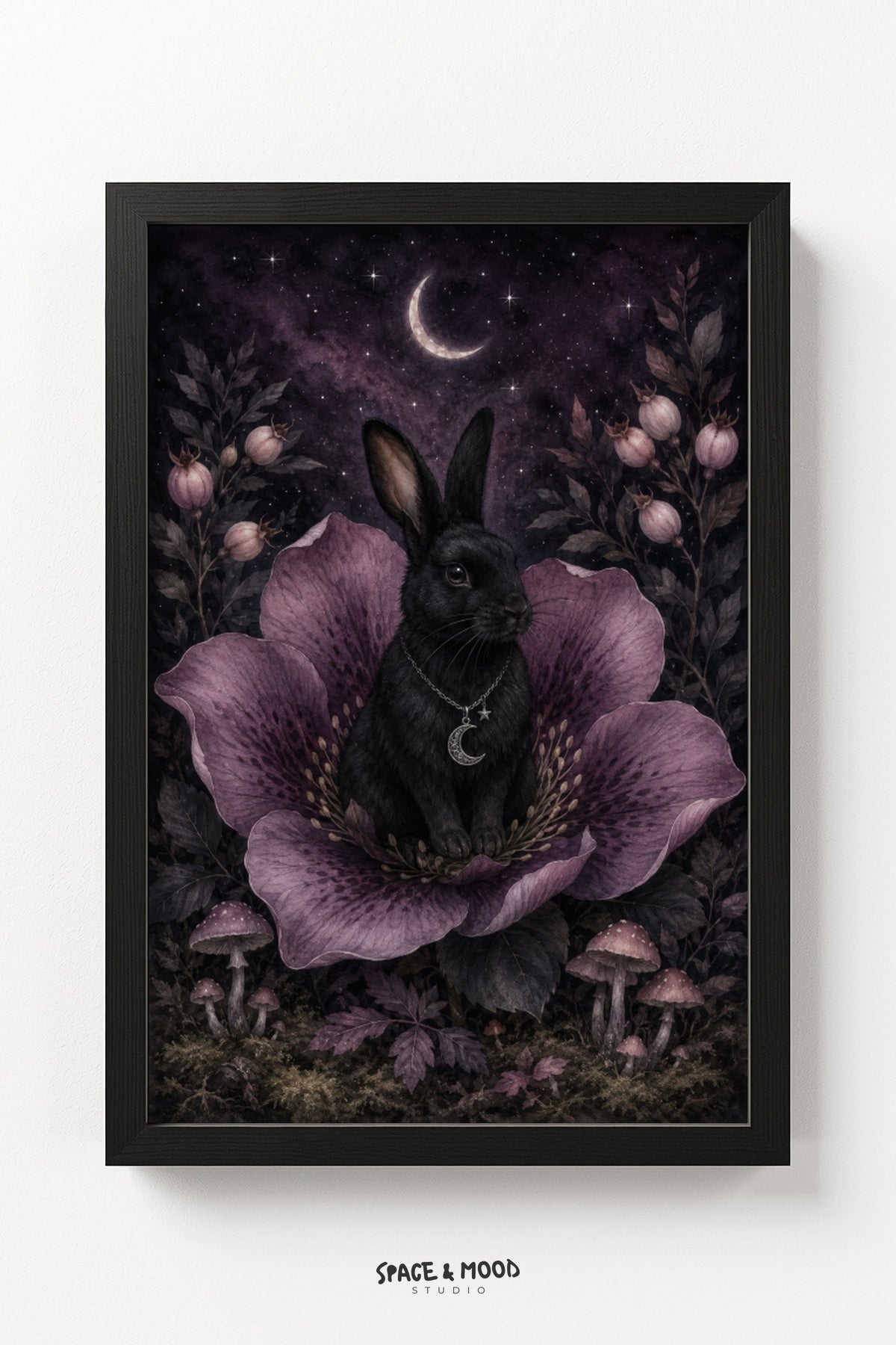 Black Rabbit Purple Flower