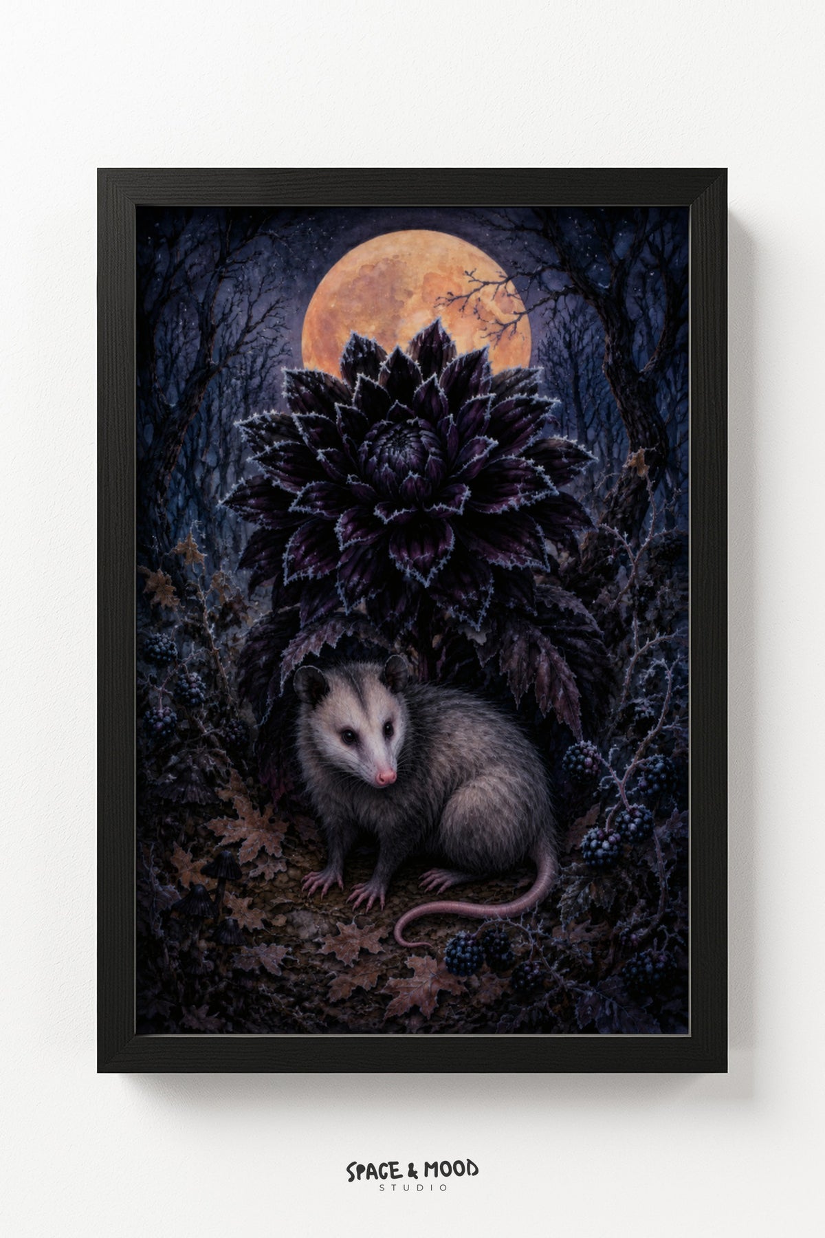 Opossum Dahlia Moon