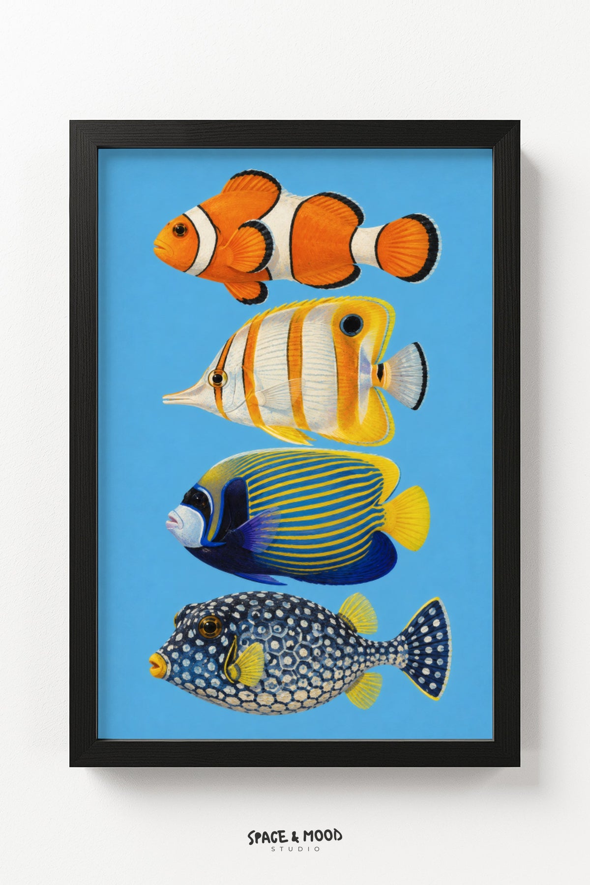 Tropical Fish Quartet Blue