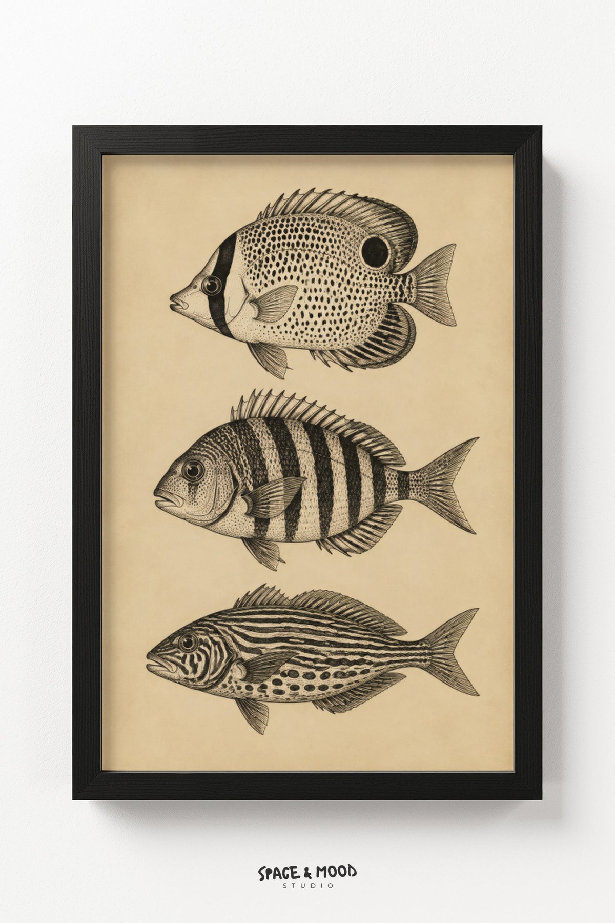 Vintage Fish Trio Cream