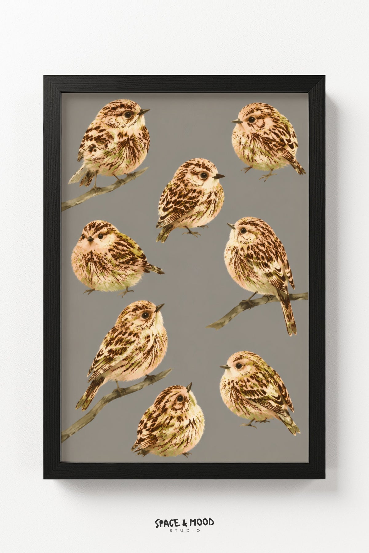 Sparrows Field Guide Grey