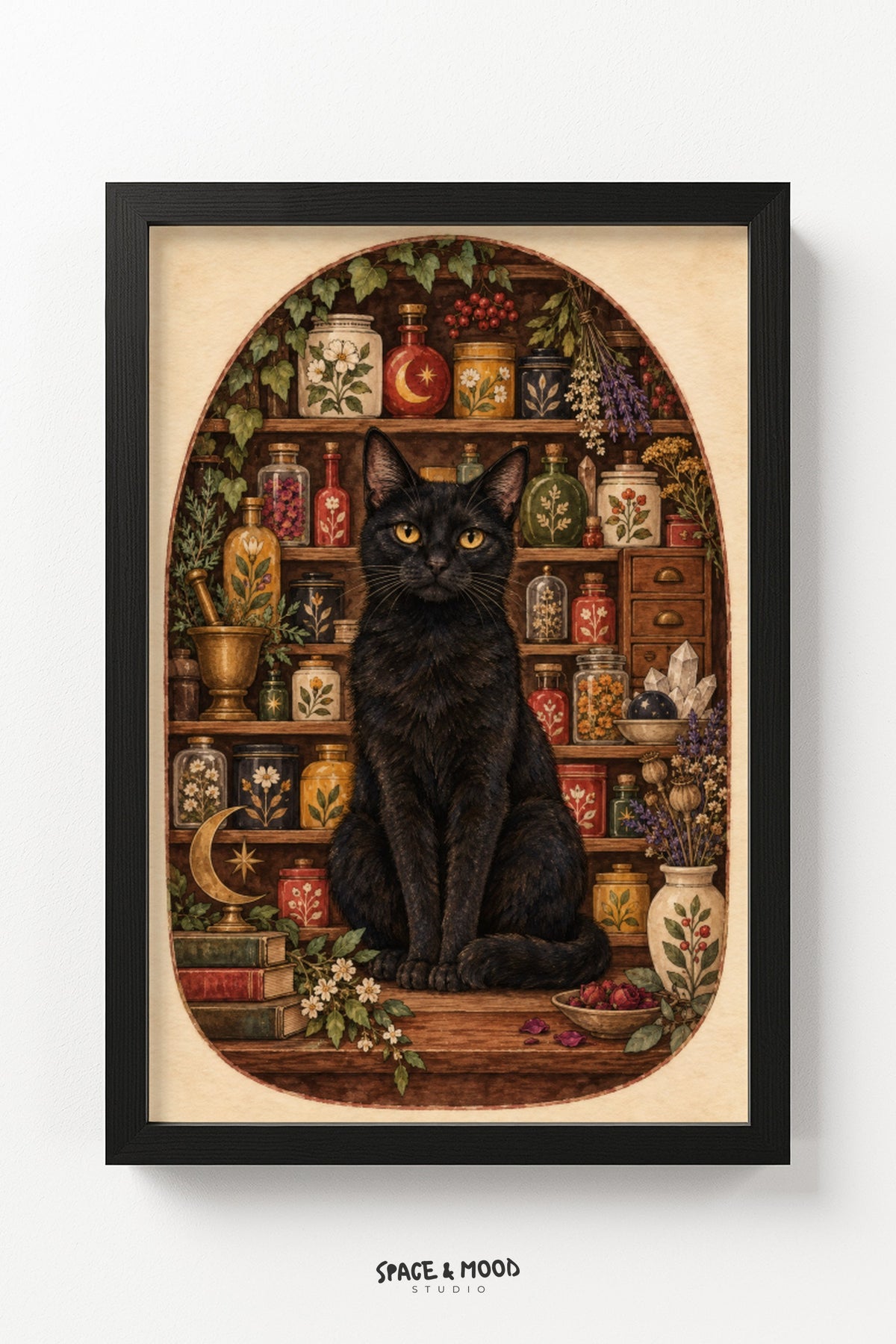 Black Cat Antique Shelf II