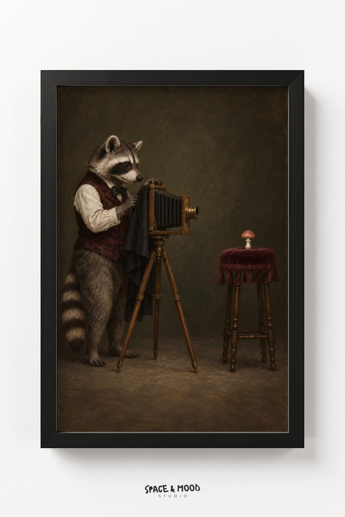 Raccoon Camera Photographer